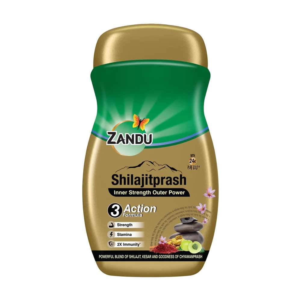 Zandu Shilajitprash Inner Strength Outer Power: 450 g